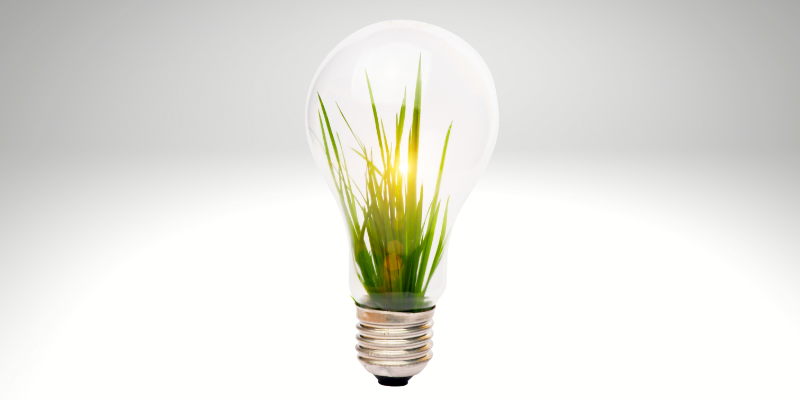 Light bulb with grass signifying light bulb moment and business start up