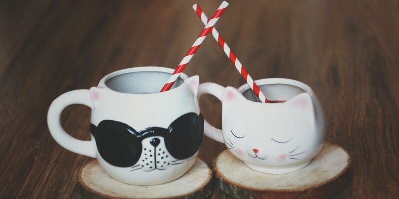 His and hers cat mugs symbolising moving in with a new partner after divorce.
